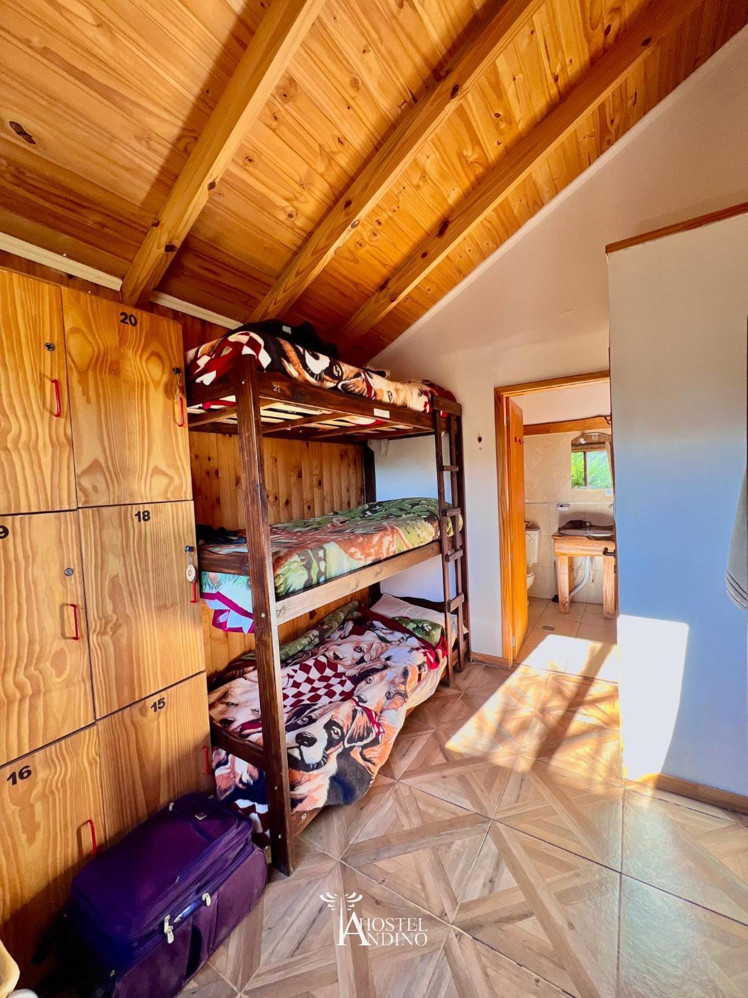 Hostel Andino Villa Pehuenia Luaran gambar