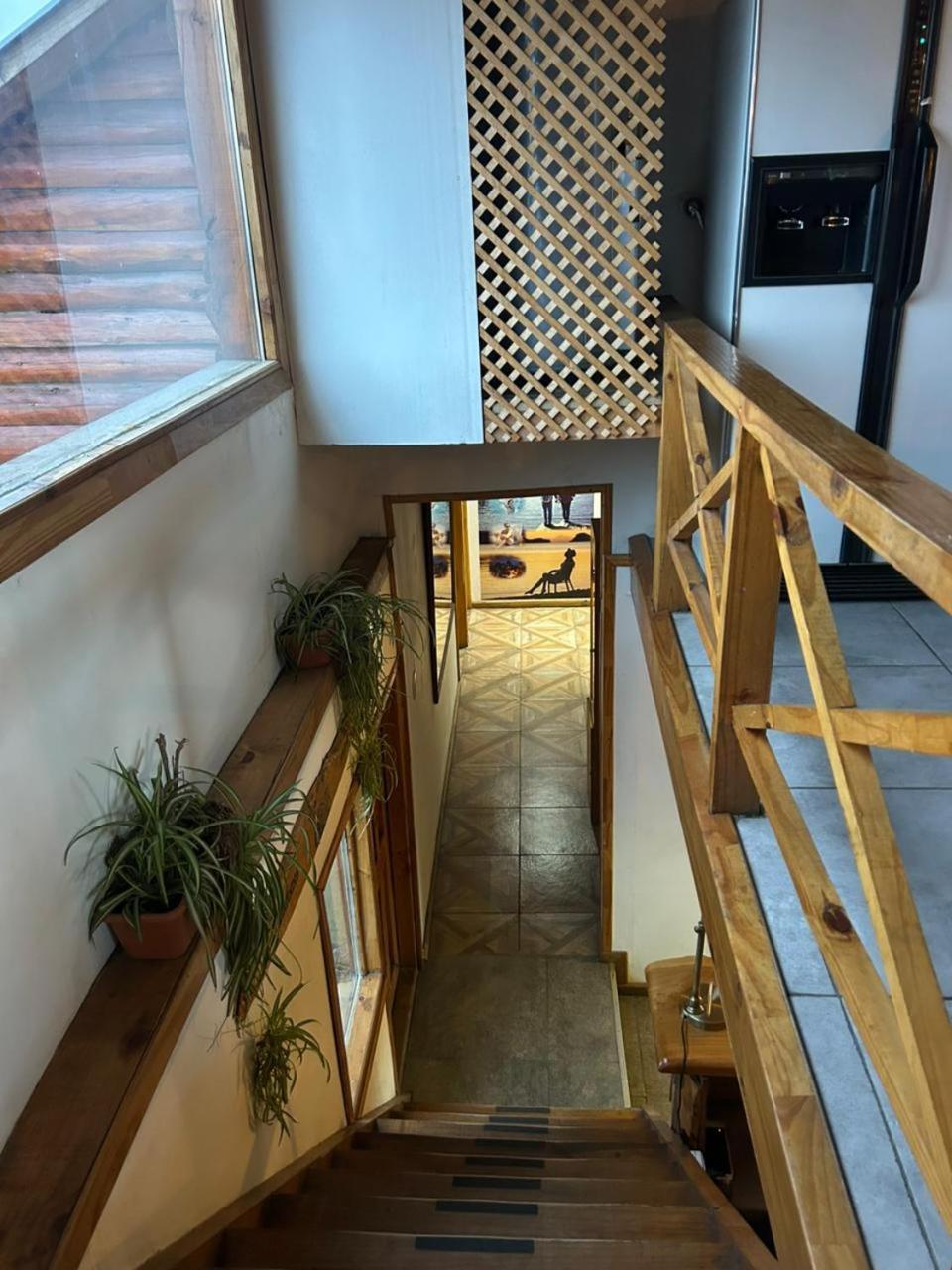 Hostel Andino Villa Pehuenia Luaran gambar
